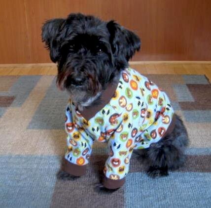 Puppy in pajammas