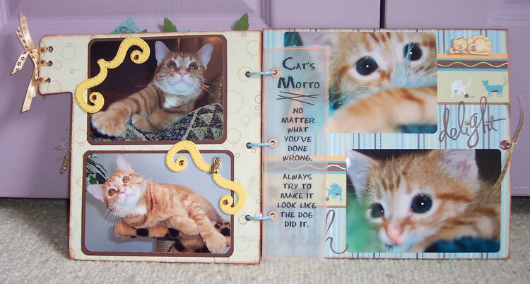 chipboard cat album