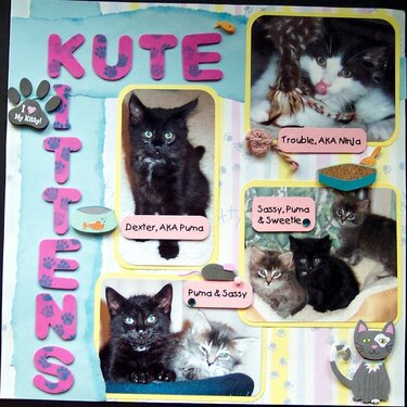 Kute Kittens