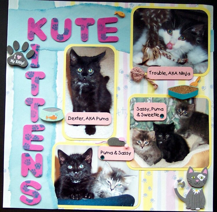 Kute Kittens