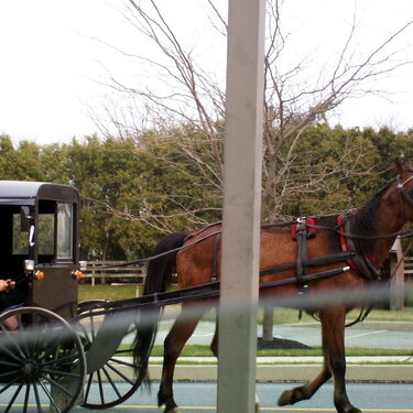 Horse and buggy..