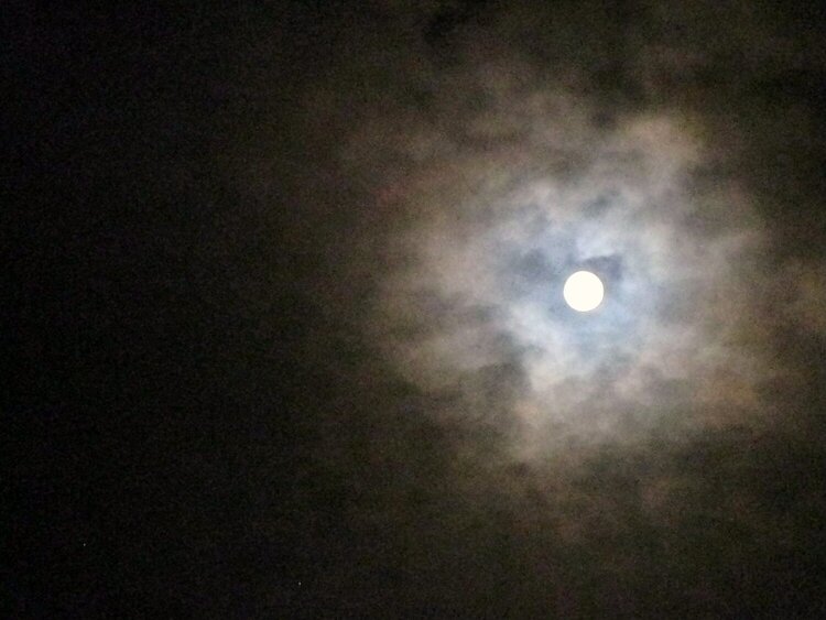 8 of 15 Evening Moon