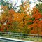 Autumn in NY ~ NJ ~ PA
