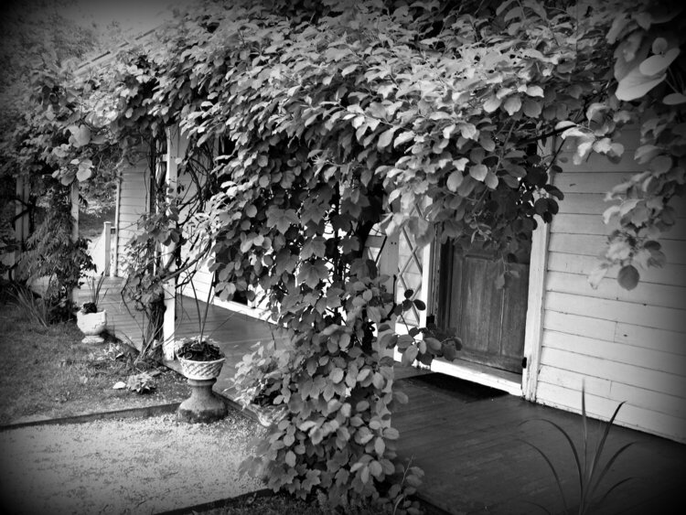 Entrance to Alice Austen Home