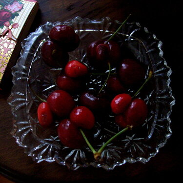 Mother&#039;s Day Cherries!!!  They&#039;re preggo!