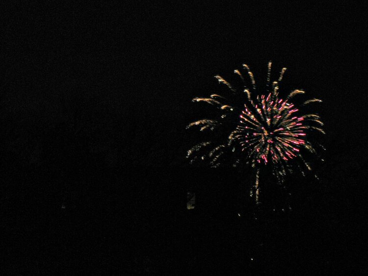 POD 1 ~ Fireworks ~ Happy New Year