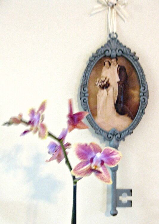 Orchid and a Fav Photo