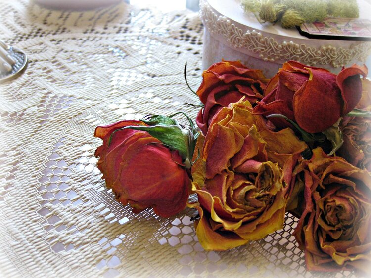 Pod 8 ~ dried roses