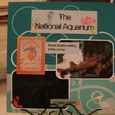 The National Aquarium