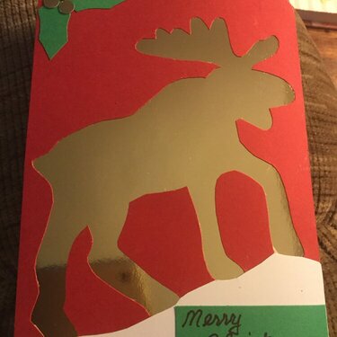 Moose Christmas Card
