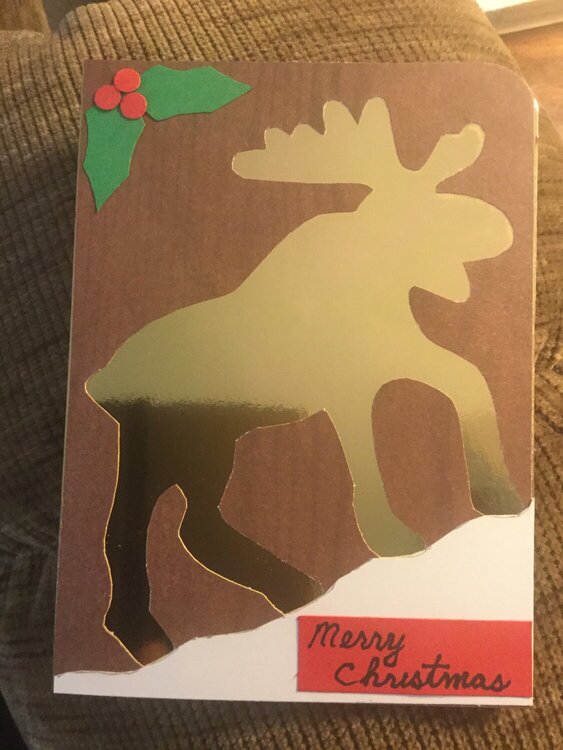 Moose Christmas Card