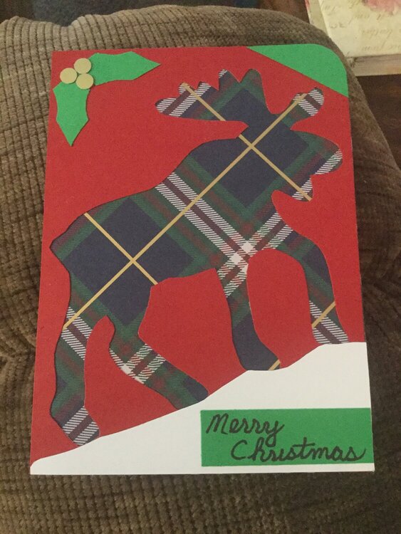 Moose Christmas Card