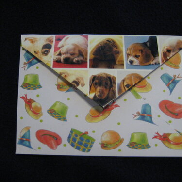 Envelope for Silly Dog and Duck