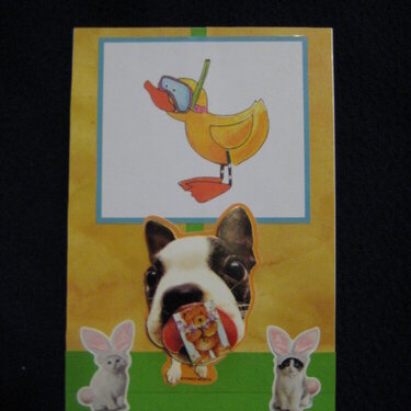 Silly Dog and Duck Postcard