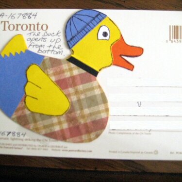 Rubber Duckie Postcard