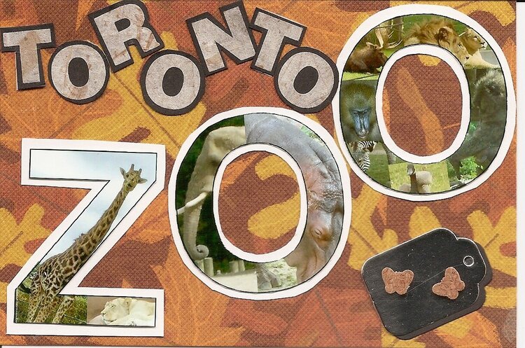 Toronto Zoo Postcard