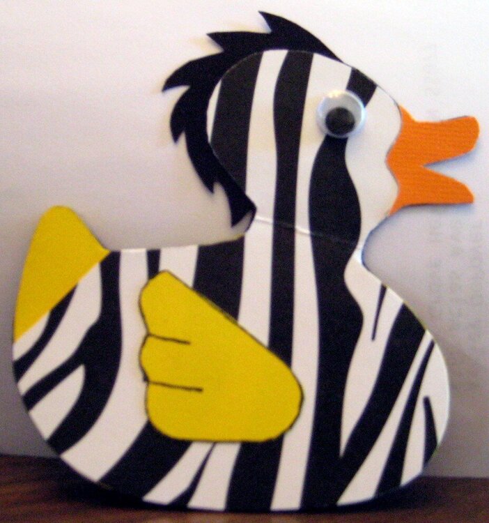 Zebra Duck