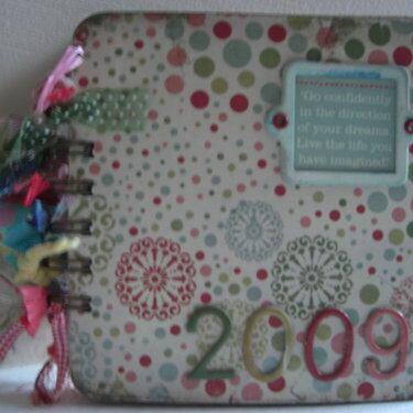 2009 Diary My positive book