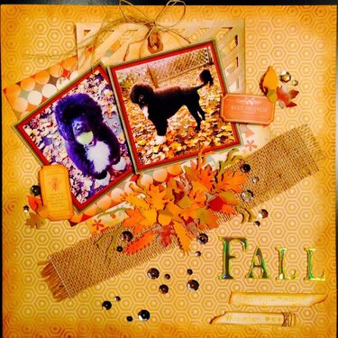 Falling into Fall!