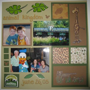 Animal Kingdom-2005
