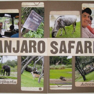 Kilimanjaro Safaris at Animal Kingdom