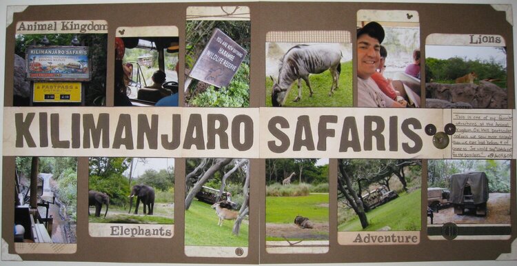 Kilimanjaro Safaris at Animal Kingdom