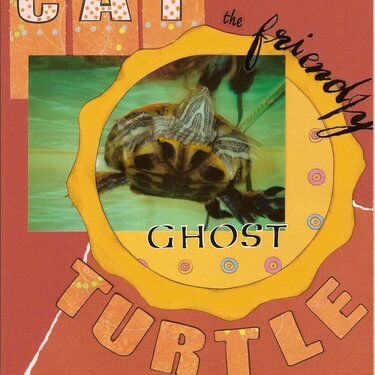 CAT the friendly ghost turtle