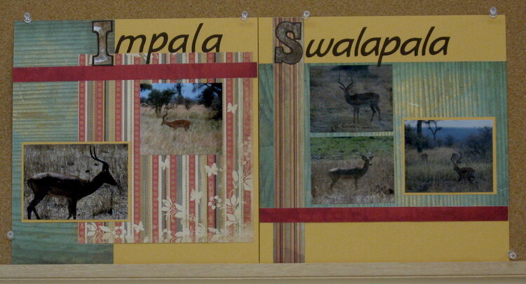 Impala - Swalapala
