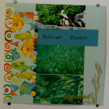 Pelican Dinner(L)