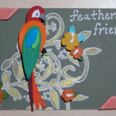 Parrot Card for Pets Swap