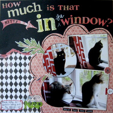 How Much Is That Kitty In The Window?
