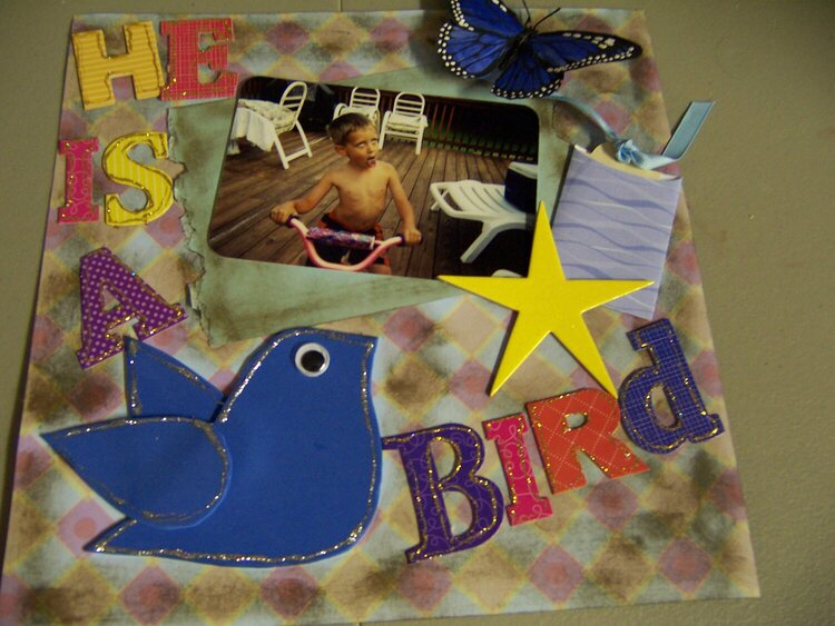 he is a bird 2008*