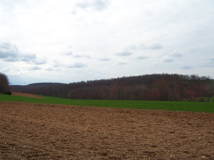 photo of the farm land we saw