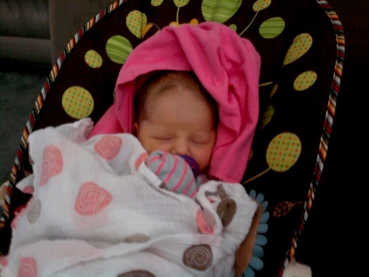 new great granddaughter, isabella