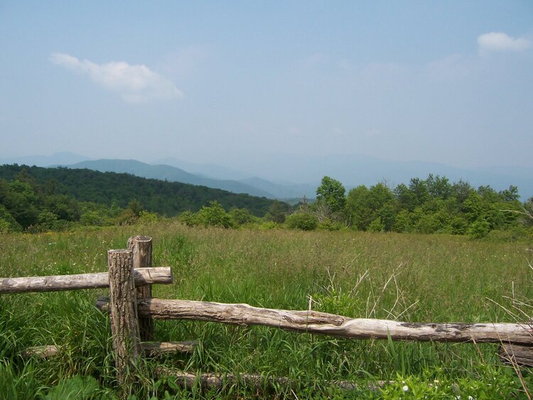 view from top of the mountain