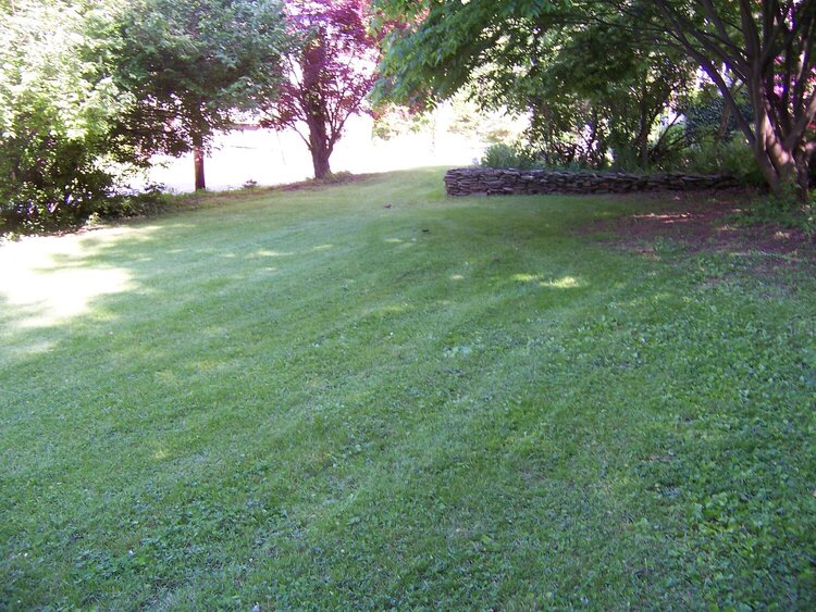 PART OF OUR FRONT LAWN