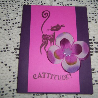 cattitude,all ocasion card