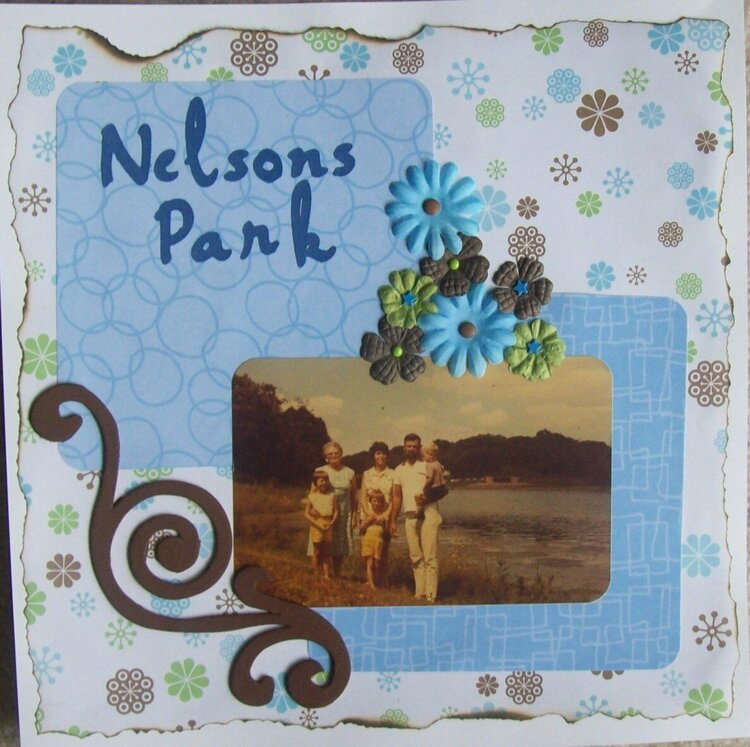 Nelson&#039;s Park