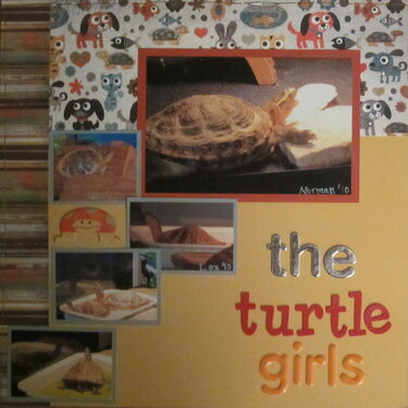 the turtle girls