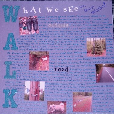 WALK: What We See (L)