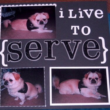 I Live to {Serve}