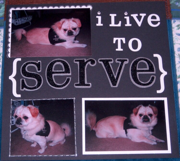 I Live to {Serve}