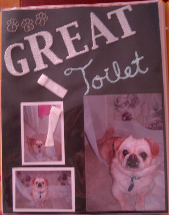 The Great Toilet.. (left side of LO)