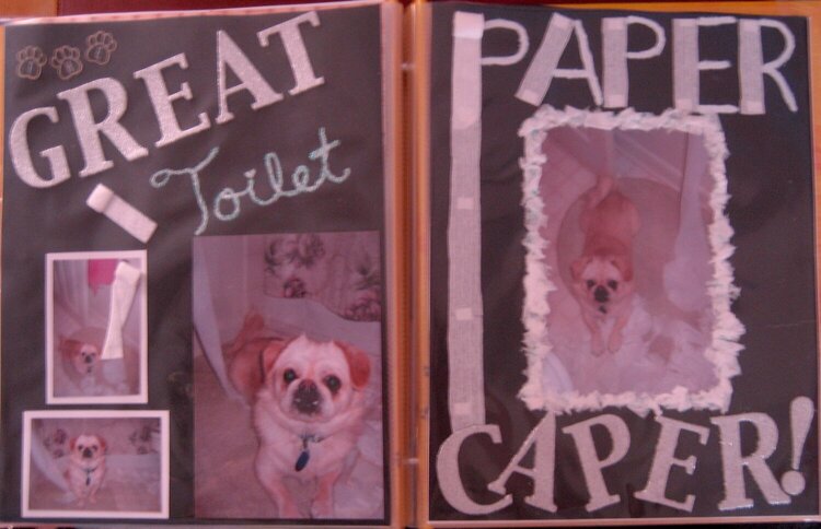 The Great Toilet Paper Caper! (Spread)