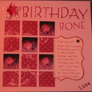Birthday Bone