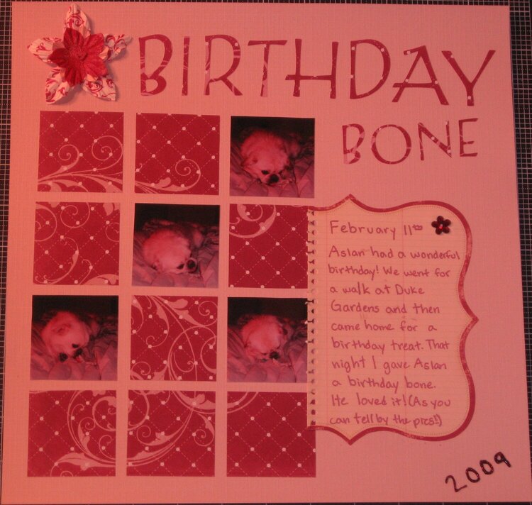 Birthday Bone