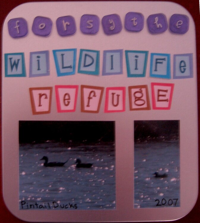 Forsythe Wildlife Refuge Tin Cover