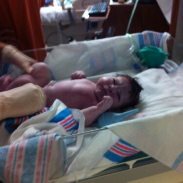 NEW Baby Aubrey!!!