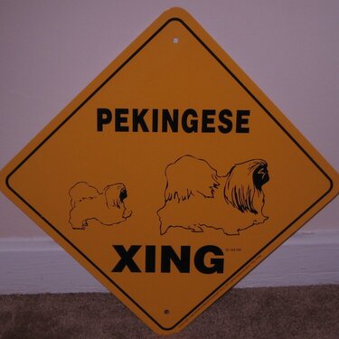 Pekingese Crossing-AGC