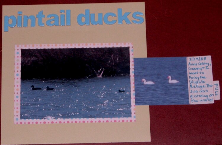 Pintail Ducks-Hidden Photo/Journaling